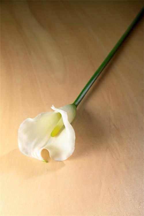 Fiore Big Calla White 82851