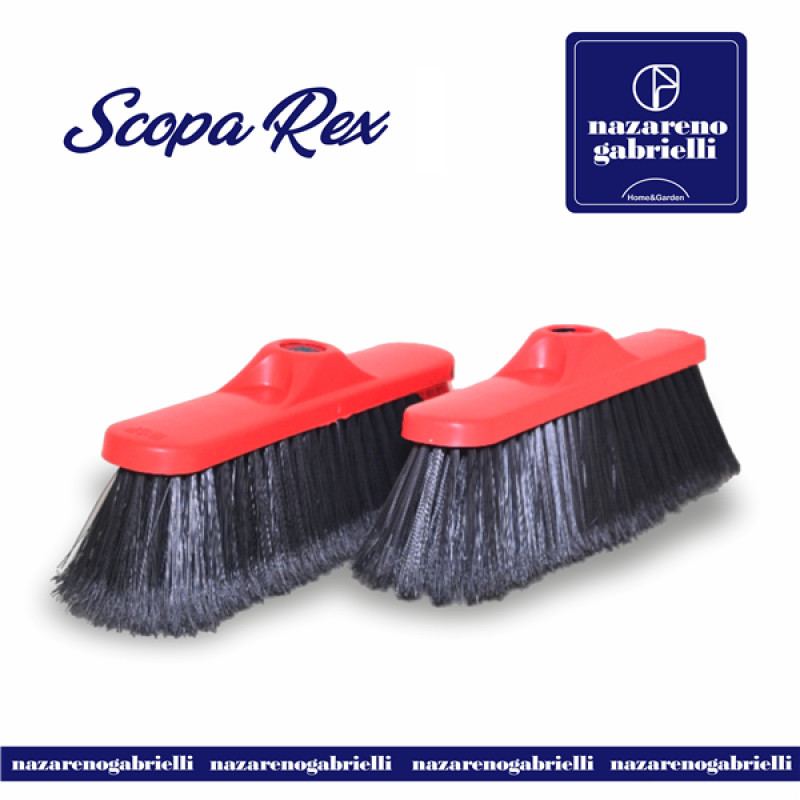 Scopa Rex Maxi NG